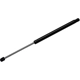 Purchase Top-Quality STRONG ARM - 6120 - Lift Support pa7
