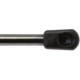 Purchase Top-Quality Lift Support by STRONG ARM - 6124 pa8
