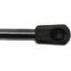 Purchase Top-Quality Lift Support by STRONG ARM - 6135 pa6