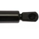 Purchase Top-Quality Lift Support by STRONG ARM - 6135 pa7