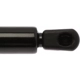Purchase Top-Quality Lift Support by STRONG ARM - 6137 pa10