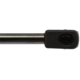 Purchase Top-Quality Lift Support by STRONG ARM - 6140 pa11