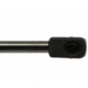 Purchase Top-Quality Lift Support by STRONG ARM - 6140 pa6