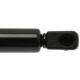 Purchase Top-Quality Lift Support by STRONG ARM - 6140 pa7
