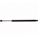Purchase Top-Quality Lift Support by STRONG ARM - 6151 pa5