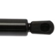 Purchase Top-Quality Lift Support by STRONG ARM - 6152 pa7