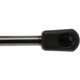 Purchase Top-Quality Lift Support by STRONG ARM - 6153 pa7