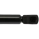Purchase Top-Quality Lift Support by STRONG ARM - 6153 pa8