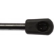 Purchase Top-Quality Lift Support by STRONG ARM - 6155 pa7