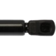 Purchase Top-Quality Lift Support by STRONG ARM - 6155 pa8