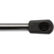 Purchase Top-Quality Lift Support by STRONG ARM - 6156 pa7