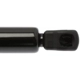 Purchase Top-Quality Lift Support by STRONG ARM - 6156 pa8