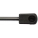 Purchase Top-Quality Lift Support by STRONG ARM - 6157 pa8