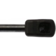Purchase Top-Quality Lift Support by STRONG ARM - 6162 pa8