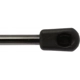 Purchase Top-Quality Lift Support by STRONG ARM - 6166 pa7