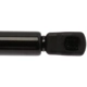 Purchase Top-Quality Lift Support by STRONG ARM - 6166 pa8