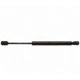 Purchase Top-Quality Lift Support by STRONG ARM - 6167 pa1