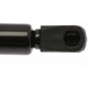 Purchase Top-Quality Lift Support by STRONG ARM - 6167 pa3