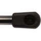 Purchase Top-Quality Lift Support by STRONG ARM - 6172 pa8