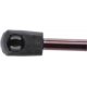 Purchase Top-Quality Lift Support by STRONG ARM - 6175 pa7