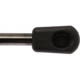 Purchase Top-Quality Lift Support by STRONG ARM - 6176 pa7