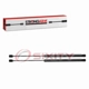 Purchase Top-Quality Lift Support by STRONG ARM - 6178 pa10