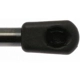 Purchase Top-Quality Lift Support by STRONG ARM - 6179 pa10