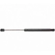 Purchase Top-Quality Lift Support by STRONG ARM - 6182 pa5