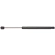 Purchase Top-Quality Lift Support by STRONG ARM - 6183 pa1