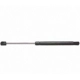 Purchase Top-Quality Lift Support by STRONG ARM - 6185 pa1