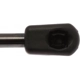 Purchase Top-Quality Lift Support by STRONG ARM - 6187 pa7