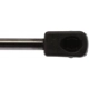 Purchase Top-Quality Lift Support by STRONG ARM - 6196 pa7