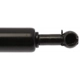 Purchase Top-Quality Lift Support by STRONG ARM - 6196 pa8