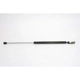 Purchase Top-Quality Lift Support by STRONG ARM - 6203L pa1