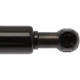 Purchase Top-Quality Lift Support by STRONG ARM - 6204 pa9