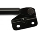 Purchase Top-Quality Lift Support by STRONG ARM - 6213 pa8