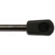 Purchase Top-Quality Lift Support by STRONG ARM - 6215 pa11