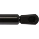 Purchase Top-Quality Lift Support by STRONG ARM - 6215 pa8