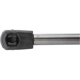 Purchase Top-Quality Lift Support by STRONG ARM - 6220R pa8