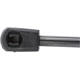 Purchase Top-Quality STRONG ARM - 6222L - Lift Support pa10