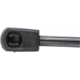 Purchase Top-Quality STRONG ARM - 6222R - Lift Support pa10