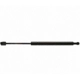 Purchase Top-Quality Lift Support by STRONG ARM - 6224 pa1
