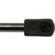 Purchase Top-Quality Lift Support by STRONG ARM - 6224 pa2
