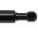 Purchase Top-Quality Lift Support by STRONG ARM - 6224 pa3