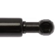 Purchase Top-Quality Lift Support by STRONG ARM - 6224 pa6