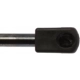 Purchase Top-Quality Lift Support by STRONG ARM - 6224 pa7