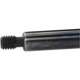 Purchase Top-Quality Lift Support by STRONG ARM - 6229 pa10