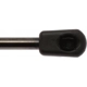 Purchase Top-Quality Lift Support by STRONG ARM - 6242 pa6