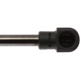 Purchase Top-Quality Lift Support by STRONG ARM - 6244 pa4