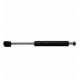 Purchase Top-Quality Lift Support by STRONG ARM - 6248 pa5